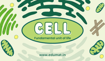 The cell is the fundamental unit of life. All living organisms are made up of cells, which perform essential life functions. by swaraj barik