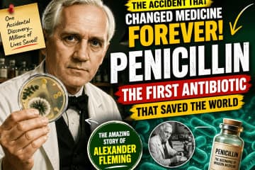 Penicillin: The First Antibiotic That Changed the World